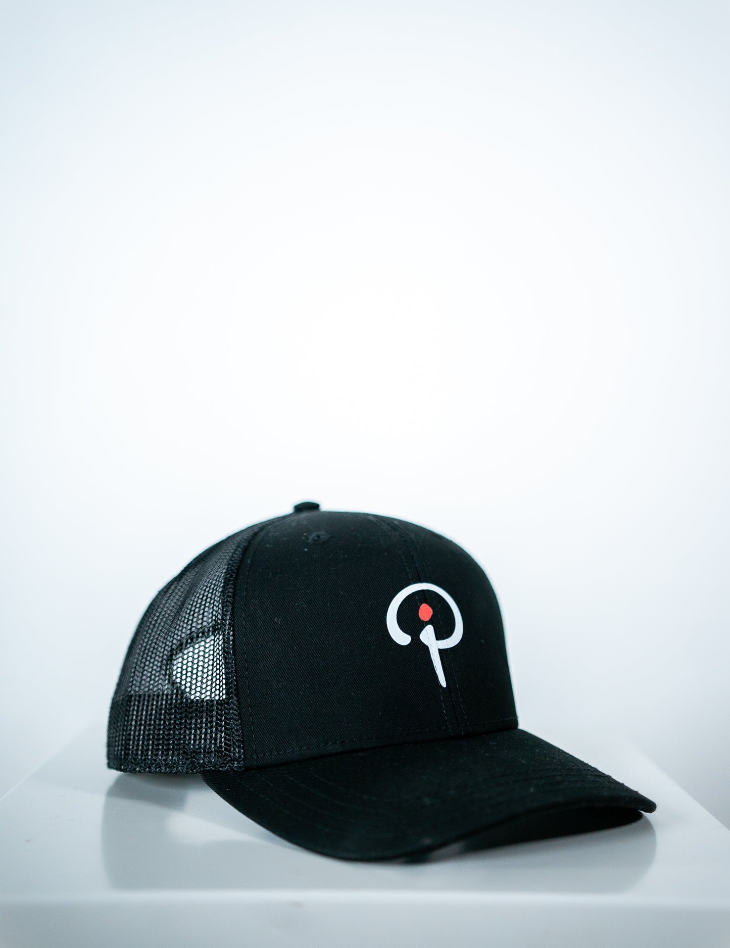 Snapback musta